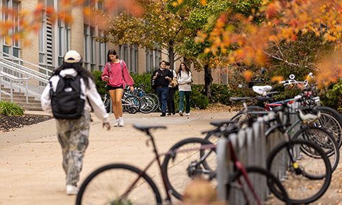 Bikes on campus