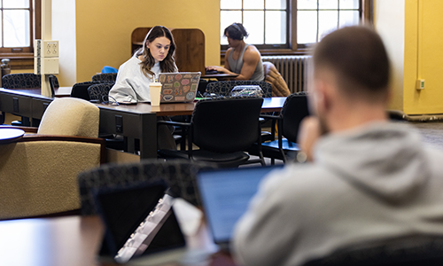 Students looking at their computers in library.