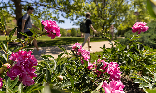 Students walking on campus.