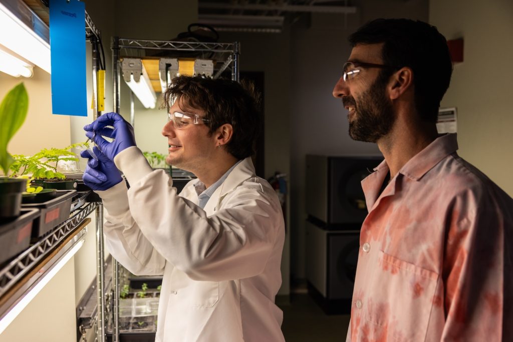 Student and faculty mentor engaged in plant research