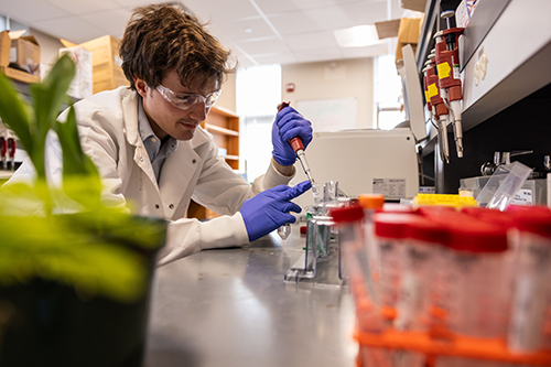 Student with a test tube working in a lab.
