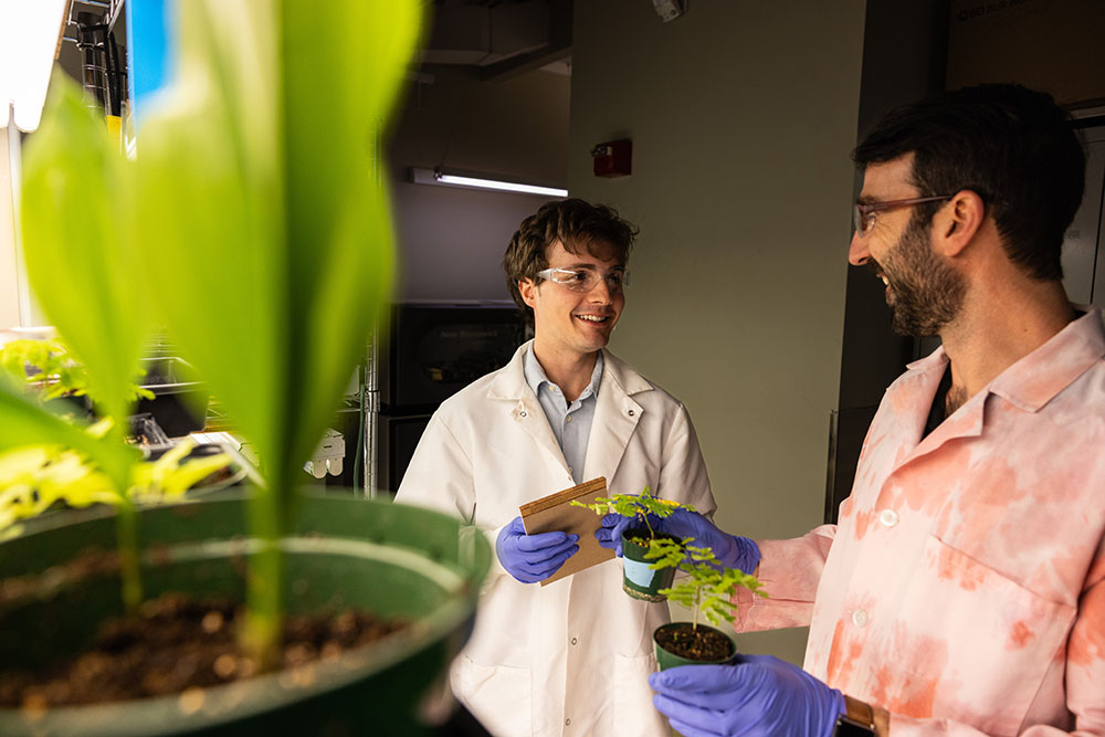 Student talking to professor holding plants in a lab.